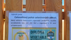 20250625_090935