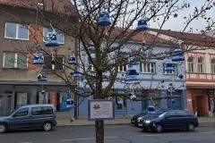 26.11.2024 Vánoční strom na městě