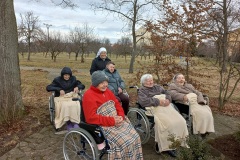 Odpoledne na zahradě 11/2/2022